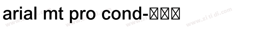 arial mt pro cond字体转换
